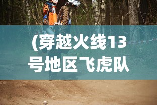 (穿越火线13号地区飞虎队图片)飞越13号房第五章完美攻略，揭秘100%通关秘籍