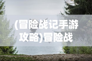 (冒险战记手游攻略)冒险战记手游，探索未知世界的勇者之旅