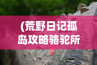(荒野日记孤岛攻略骆驼所需的材料)荒野日记孤岛攻略大全及常见问题解答