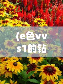 (e色vvs1的钻戒成色怎么样)伊丁天堂精灵与暗夜精灵，深度解析二者之间的区别
