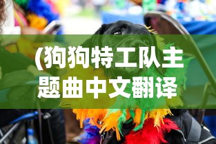 (狗狗特工队主题曲中文翻译)狗狗特工队主题曲，音乐与冒险的完美结合