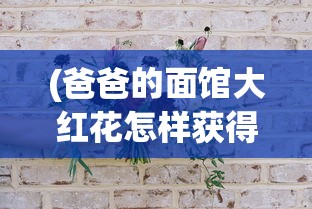(爸爸的面馆大红花怎样获得银行碗二星)爸爸的面馆，如何获得大红花