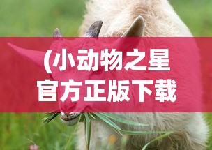 (原始征途官网)原始征途，痞帅个人简历及探索之旅