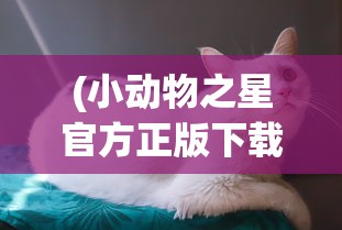 (小动物之星官方正版下载)小动物之星下架原因深度解析