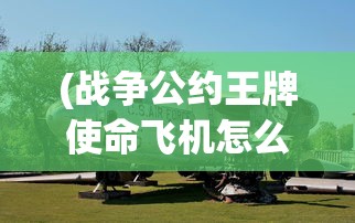 (战争公约王牌使命飞机怎么获得的)战争公约王牌使命，飞机的获取攻略与常见问题解答