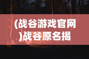 (战谷游戏官网)战谷原名揭秘，一场游戏世界的探索之旅