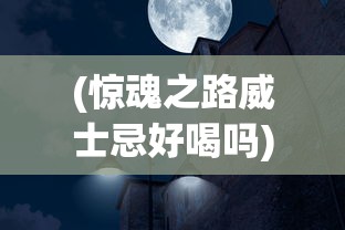 (惊魂之路威士忌好喝吗)惊魂之路威士忌，探索神秘与醇香的交融之旅
