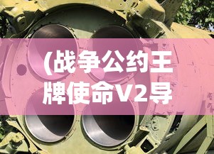 (战争公约王牌使命V2导弹)战争公约王牌使命BoSST29，新时代的战略挑战与使命召唤