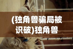 (独角兽骗局被识破)独角兽催债背后的故事，如何应对突如其来的债务压力？