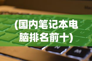 (国内笔记本电脑排名前十)国内笔记本电脑品牌排行及其市场影响力分析