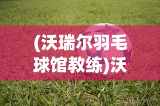 (沃瑞尔羽毛球馆教练)沃瑞尔羽毛球馆，运动爱好者的理想之地