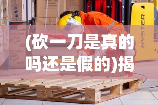 (砍一刀是真的吗还是假的)揭秘砍一刀背后的真相，你真的了解吗？