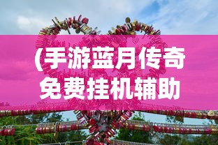 (手游蓝月传奇免费挂机辅助)蓝月传奇手游辅助挂机脚本，游戏进阶的必备神器？