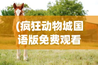 (疯狂动物城国语版免费观看完整版)疯狂动物城（国语版），深度解析与常见问题解答
