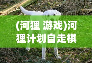 (河狸 游戏)河狸计划自走棋，策略游戏的新篇章