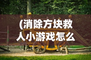 (消除方块救人小游戏怎么玩)消除方块救人小游戏，一场智力与反应能力的挑战