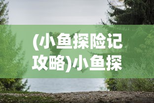 (小鱼探险记攻略)小鱼探险记，一场奇妙的冒险之旅