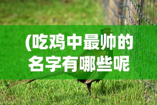(吃鸡中最帅的名字有哪些呢)吃鸡中最帅的名字盘点，探寻游戏中最具魅力的名字集合