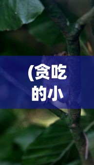 (贪吃的小松鼠故事内容)贪吃的小松鼠故事，一则关于自然与成长的寓言