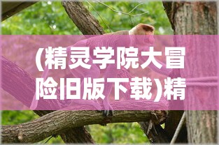 (精灵学院大冒险旧版下载)精灵学院大冒险旧版，一场充满奇幻与冒险的旅程