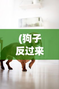 (狗子反过来是什么字)狗反子，神秘动物解析