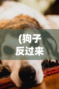 (狗子反过来是什么字)狗反子，神秘动物解析