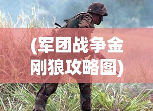 (军团战争金刚狼攻略图)军团战争金刚狼攻略大全及常见问题解答