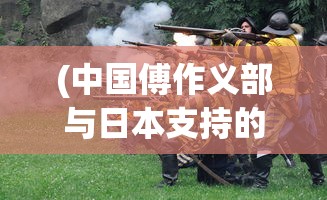 (中国傅作义部与日本支持的德王的战争)王的战争，战略、策略与英雄主义的交织