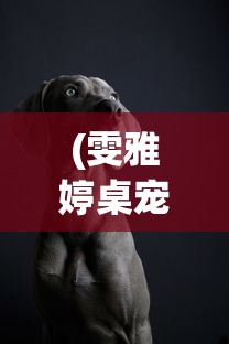 (雯雅婷桌宠说明)桌宠雯雅婷，揭秘虚拟宠物的魅力与特色