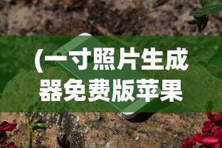 (一寸照片生成器免费版苹果)一寸照片生成器免费版，打造个性化照片的新工具