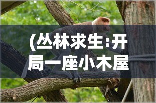 (丛林求生:开局一座小木屋,合集沙雕版)丛林求生，开局一座小木屋——生存挑战与探险之旅