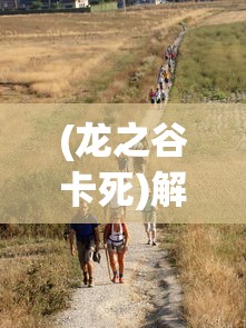 (龙之谷卡死)解决龙之谷器卡住不动问题的全面指南