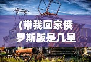(带我回家俄罗斯版是几星电影)带我回家俄罗斯版，文化、历史与情感的交织
