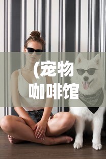 (宠物咖啡馆游戏攻略)宠物咖啡馆游戏，融合休闲与娱乐的新潮流