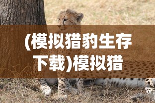 (模拟猎豹生存下载)模拟猎豹生存，探寻自然界的生存之道