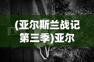 (亚尔斯兰战记第三季)亚尔斯兰战记第三季为何未能如期播出？深度分析与解答