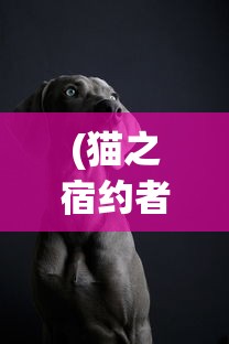 (猫之宿约者 配音)猫之宿约者配音演员的魅力与影响力解析