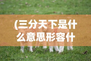 (三分天下是什么意思形容什么动物生肖)三分天下是什么意思，历史与文化的深度解读