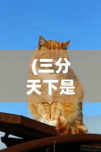 (三分天下是什么意思形容什么动物生肖)三分天下是什么意思，历史与文化的深度解读