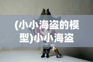 (小小海盗的模型)小小海盗游戏，冒险与宝藏的海洋之旅