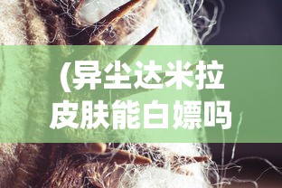 (异尘达米拉皮肤能白嫖吗)异尘达米拉皮肤，深入解析与探索