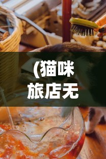 (猫咪旅店无限金币)猫咪旅店的魅力与探索，一个独特的宠物体验之旅