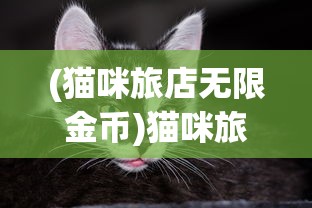 (猫咪旅店无限金币)猫咪旅店的魅力与探索，一个独特的宠物体验之旅