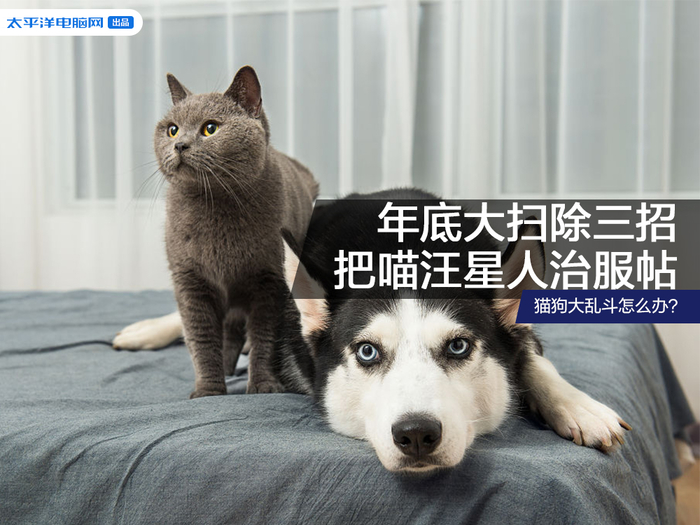 猫狗缠斗2024最新版本下载-猫狗缠斗3d游戏下载v.8.18