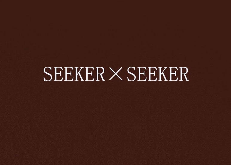 HEAVEN SEEKER2024下载-HEAVEN SEEKER无限金币无限宝石下载无广告v.8.21