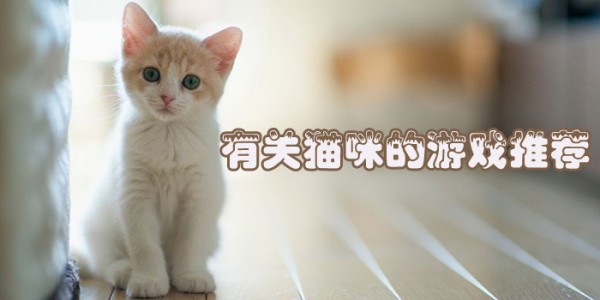 猫与朋友正版免费（暂未上线）-猫与朋友全解锁最新版2024下载v.8.93
