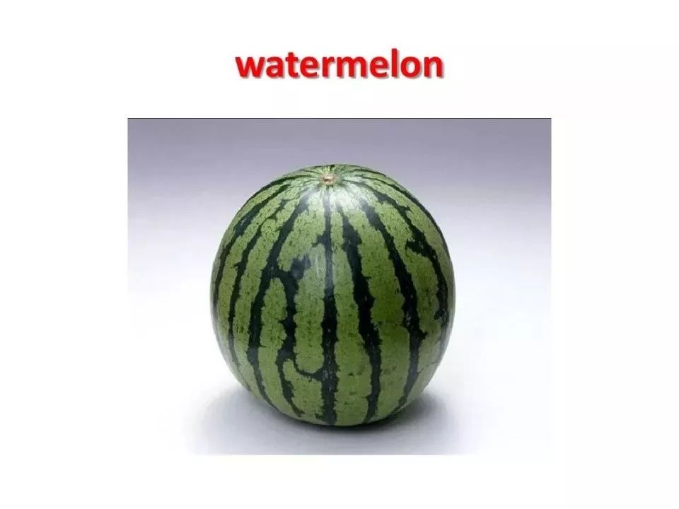 合并融合西瓜(Merge Watermelon:Get HighScore)钞票版下载-合并融合西瓜(Merge Watermelon:Get HighScore)中文版下载v.5.72