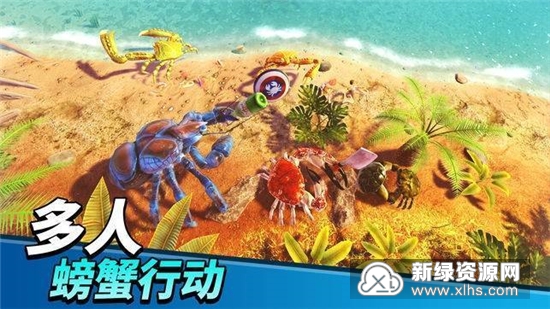 螃蟹之王最新版无限钻石金币版下载无广告-螃蟹之王最新版无限金币内购版下载v.6.25
