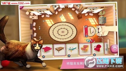 猫咪后院2国际服无敌版-猫咪后院2国际服官方正版手游下载v.6.36